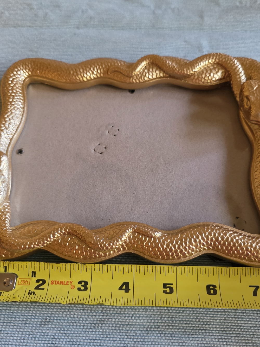 GOLD SNAKE Frame 5x7 Photo - Picture 14 of 16